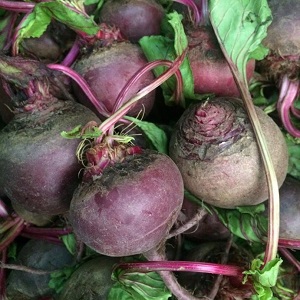 Beetroot