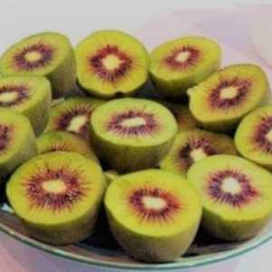 Kiwi