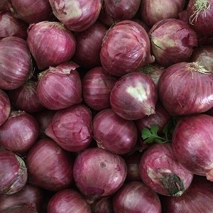 Onion