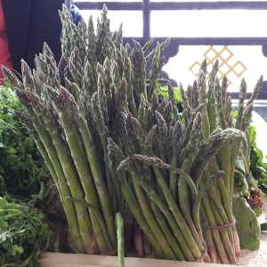 Asparagus