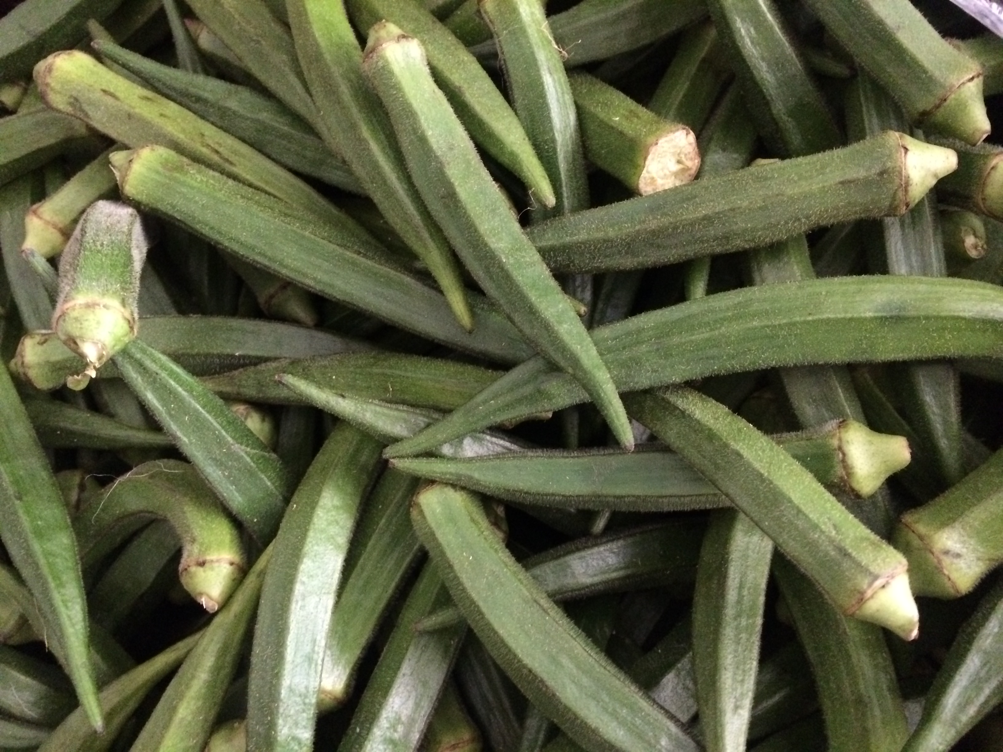 Okra